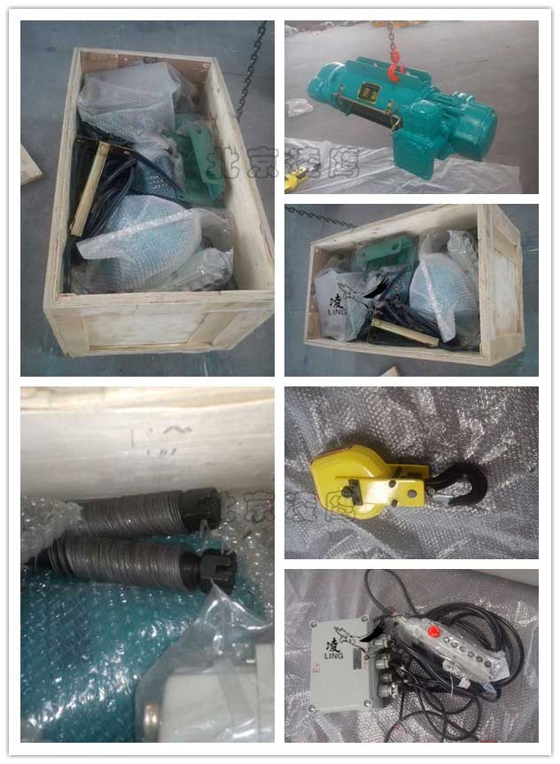 1t9m防爆钢丝绳电动葫芦