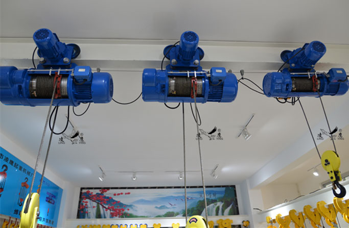 钢丝绳电动葫芦