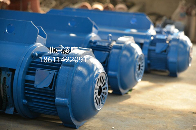 钢丝绳电动葫芦